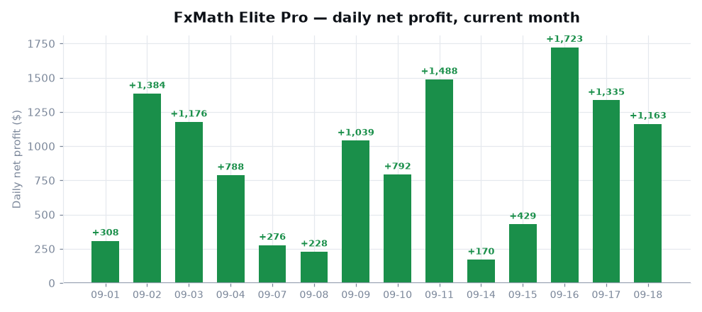 Daily net profit for the current month